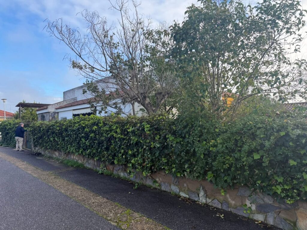 Chalet con parcela de 600 metros cuadrados en Badajoz Chalet con parcela de 600 metros cuadrados en Badajoz