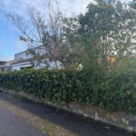 Chalet con parcela de 600 metros cuadrados en Badajoz Chalet con parcela de 600 metros cuadrados en Badajoz